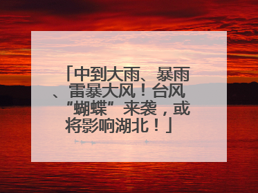 中到大雨、暴雨、雷暴大风！台风“蝴蝶”来袭，或将影响湖北！