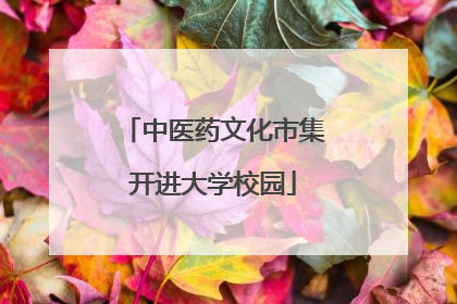 中医药文化市集开进大学校园
