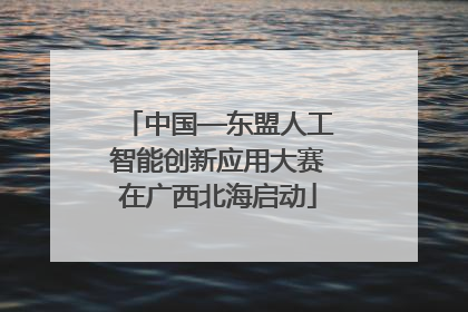 中国—东盟人工智能创新应用大赛在广西北海启动