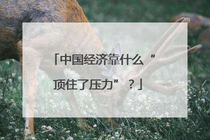 中国经济靠什么“顶住了压力”？