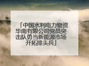 中国水利电力物资华南有限公司党员突击队勇当新能源市场开拓排头兵
