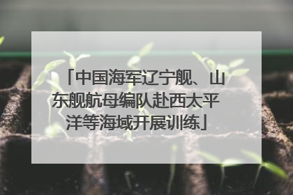 中国海军辽宁舰、山东舰航母编队赴西太平洋等海域开展训练