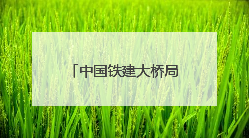 中国铁建大桥局盘兴铁路项目开展反腐倡廉宣传教育月系列活动