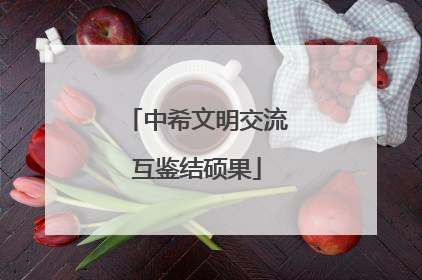 中希文明交流互鉴结硕果