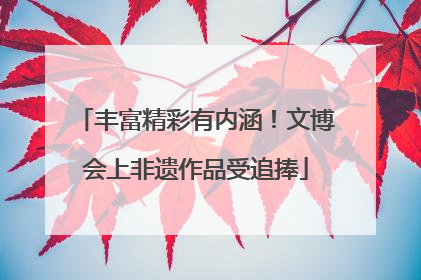 丰富精彩有内涵！文博会上非遗作品受追捧