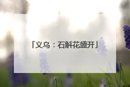 义乌：石斛花盛开