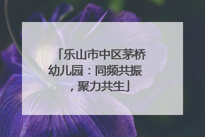 乐山市中区茅桥幼儿园：同频共振，聚力共生