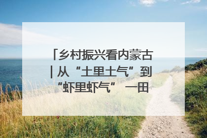 乡村振兴看内蒙古｜从“土里土气”到“虾里虾气” 一田双收模式火出圈