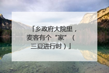 乡政府大院里，麦客有个“家”（三夏进行时）