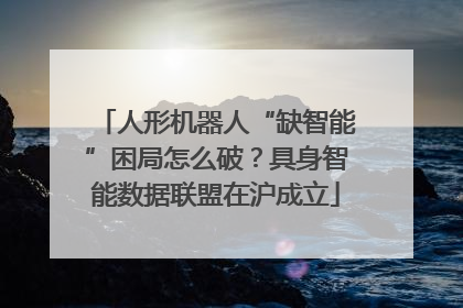 人形机器人“缺智能”困局怎么破？具身智能数据联盟在沪成立