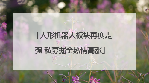 人形机器人板块再度走强 私募掘金热情高涨
