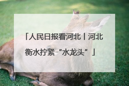 人民日报看河北丨河北衡水拧紧“水龙头”