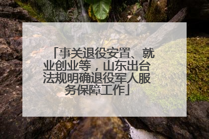 事关退役安置、就业创业等，山东出台法规明确退役军人服务保障工作