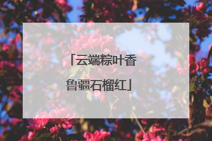 云端粽叶香 鲁疆石榴红