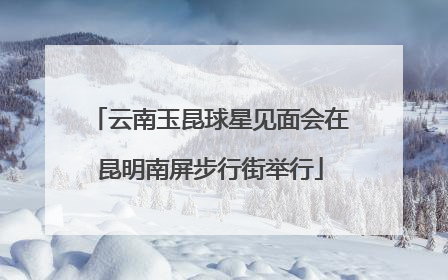 云南玉昆球星见面会在昆明南屏步行街举行