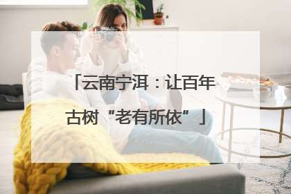 云南宁洱：让百年古树“老有所依”