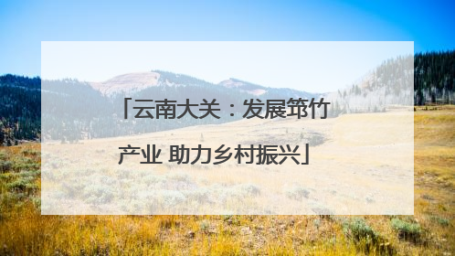 云南大关：发展筇竹产业 助力乡村振兴