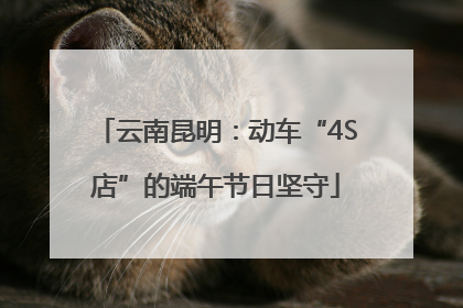 云南昆明：动车“4S店”的端午节日坚守