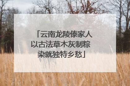 云南龙陵傣家人以古法草木灰制粽 染就独特乡愁