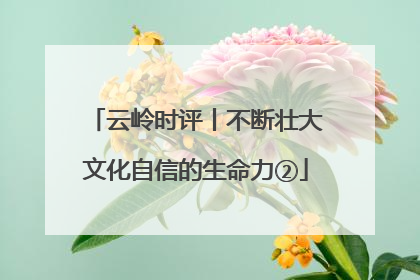 云岭时评丨不断壮大文化自信的生命力②