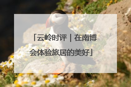 云岭时评｜在南博会体验旅居的美好