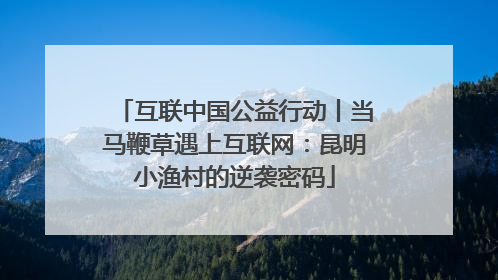 互联中国公益行动丨当马鞭草遇上互联网：昆明小渔村的逆袭密码