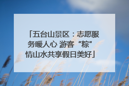 五台山景区：志愿服务暖人心 游客“粽”情山水共享假日美好