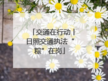 交通在行动丨日照交通执法“粽”在岗