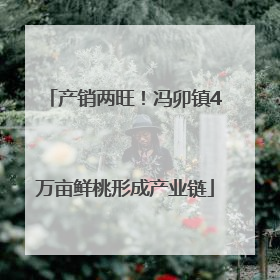 产销两旺！冯卯镇4万亩鲜桃形成产业链