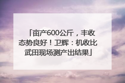 亩产600公斤，丰收态势良好！卫辉：机收比武田现场测产出结果