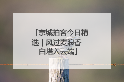 京城拍客今日精选｜风过麦浪香 白塔入云端