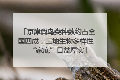 京津冀鸟类种数约占全国四成，三地生物多样性“家底”日益厚实