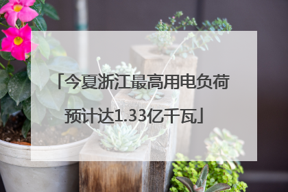 今夏浙江最高用电负荷预计达1.33亿千瓦