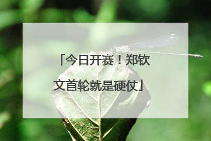 今日开赛！郑钦文首轮就是硬仗