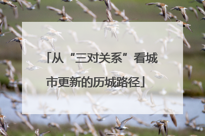 从“三对关系”看城市更新的历城路径
