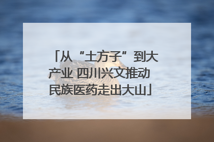 从“土方子”到大产业 四川兴文推动民族医药走出大山