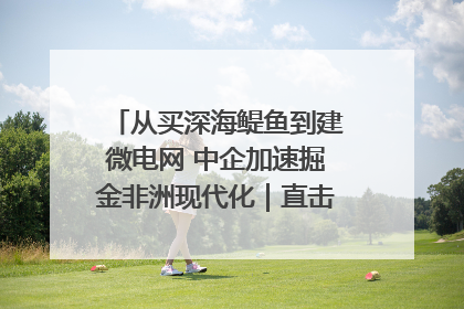 从买深海鳀鱼到建微电网 中企加速掘金非洲现代化｜直击中非经贸博览会