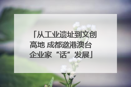 从工业遗址到文创高地 成都邀港澳台企业家“话”发展