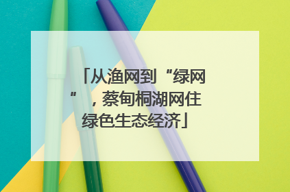 从渔网到“绿网”，蔡甸桐湖网住绿色生态经济