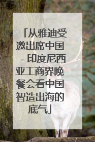 从雅迪受邀出席中国－印度尼西亚工商界晚餐会看中国智造出海的底气