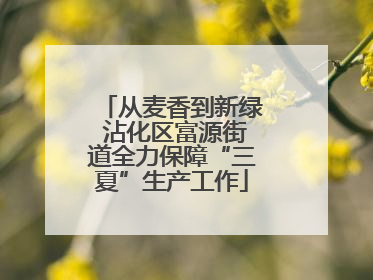 从麦香到新绿 沾化区富源街道全力保障“三夏”生产工作