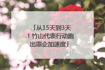 从15天到3天！竹山代表行动跑出惠企加速度