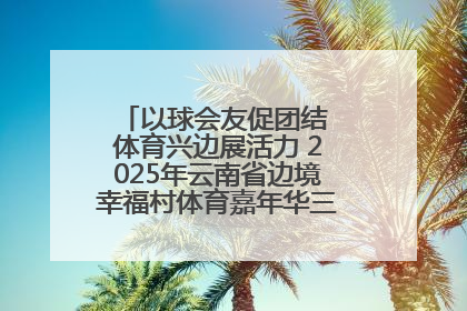 以球会友促团结 体育兴边展活力 2025年云南省边境幸福村体育嘉年华三人篮球赛圆满收官
