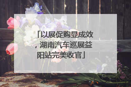 以展促购显成效，湖南汽车巡展益阳站完美收官
