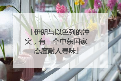 伊朗与以色列的冲突，有一个中东国家态度耐人寻味