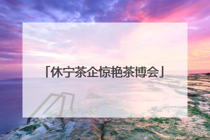 休宁茶企惊艳茶博会