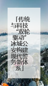 传统与科技“双轮驱动”冰城公安构建现代警务新体系