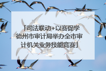司法联动+以赛促学 德州市审计局举办全市审计机关业务技能竞赛