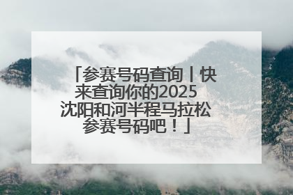 参赛号码查询丨快来查询你的2025沈阳和河半程马拉松参赛号码吧！