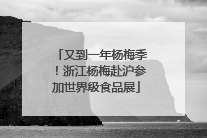 又到一年杨梅季！浙江杨梅赴沪参加世界级食品展